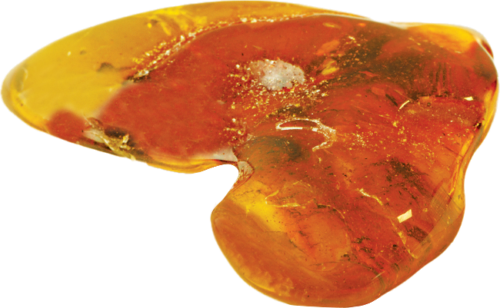 7,40 g Янтарь с вкраплениями (3)