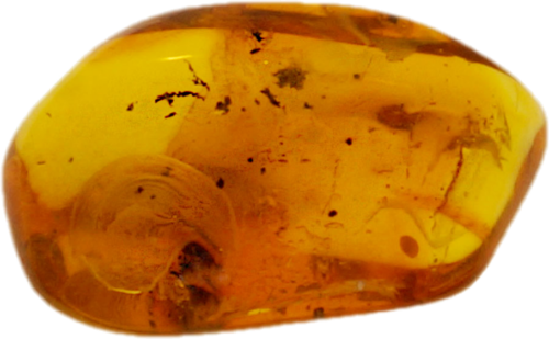1,35 g Amber Nugget with inclusion (1)