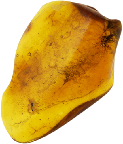 2,10 g Amber Nugget with inclusion (1)