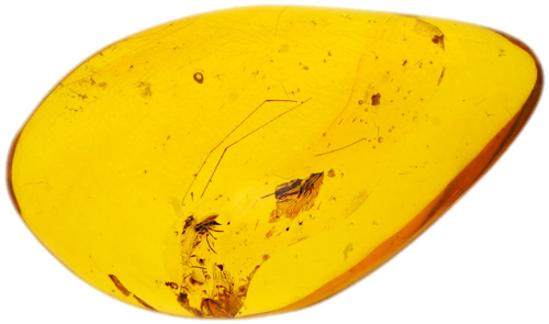 4,65 g Amber Nugget with inclusion (1)