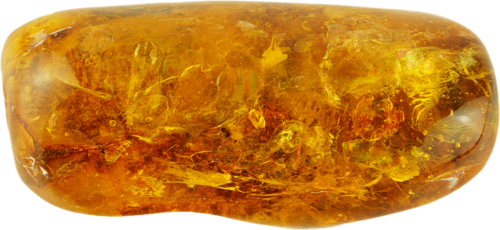 15,90 g Gintaro grynuolis su inkliuzu (1)