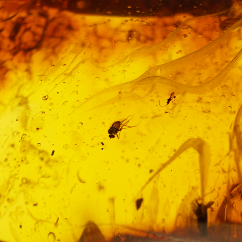 32,50 g Amber Nugget with inclusion (2)