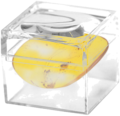 4,65 g Amber Nugget with inclusion (2)