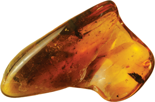 5,55 g Amber Nugget with inclusion (1)