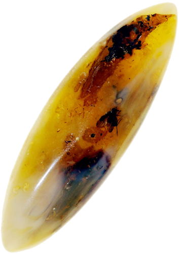 6,25 g Amber Nugget with inclusion (3)