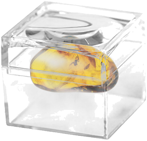 2,70 g Amber Nugget with inclusion (2)