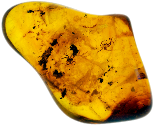 3,05 g Amber Nugget with Spider inclusions (1)
