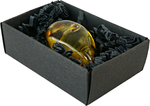 12.05 g Amber nugget (4)