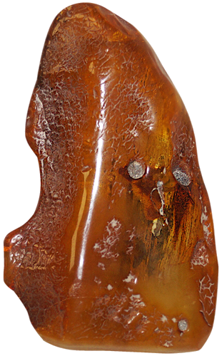 65,90 g Amber nugget with tree bark inclusion (2)