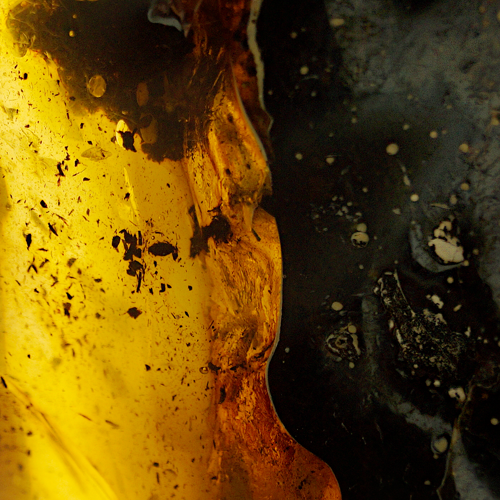 170 g Amber Nugget (2)