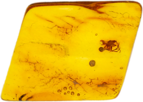 1,25 g Dzintara tīrradnis ar inkrustāciju (1)