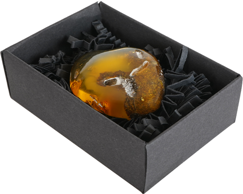 11,05 g Amber nugget (4)