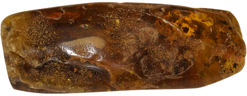 58 g Gintaro grynuolis (2)