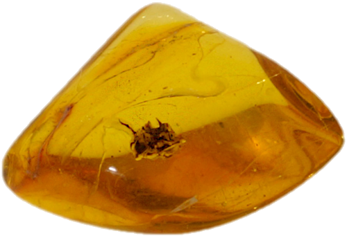 1,70 g Gintaro grynuolis su inkliuzu (1)