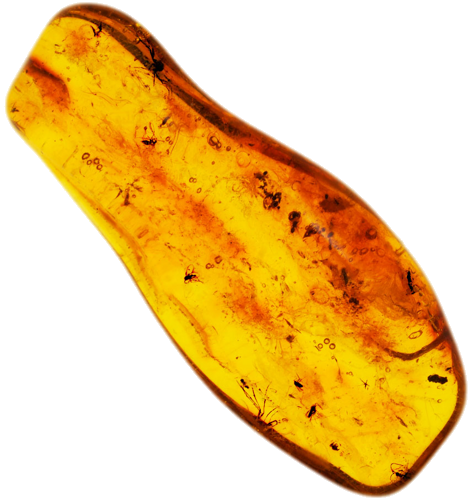 6,25 g Amber Nugget with 10 inclusion (1)