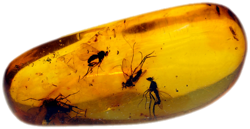 2,05 g Amber Nugget with inclusion (2)