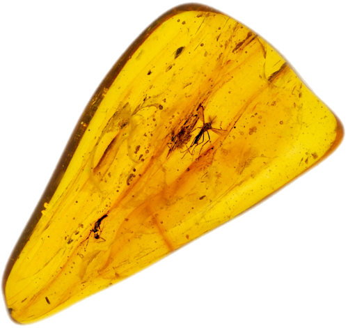 2,60 g Gintaro grynuolis su inkliuzu (1)