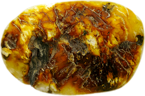 19.10 g White amber nugget (2)