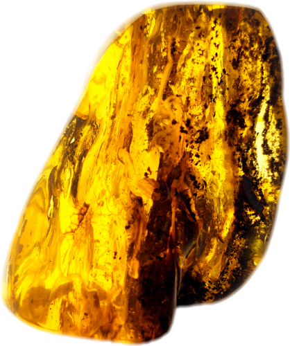 236 g Amber Nugget (1)