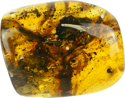 34.20 g Amber nugget (1)