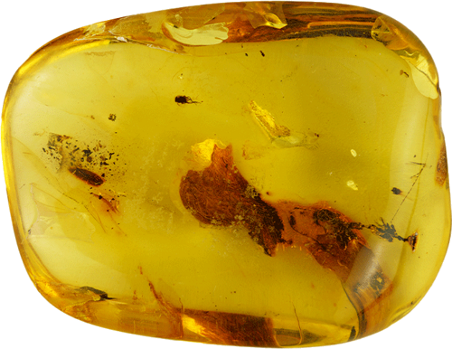22,15 g Amber Nugget with fly inclusion (1)