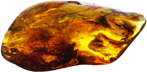 114 g Amber Nugget with inclusion (1)