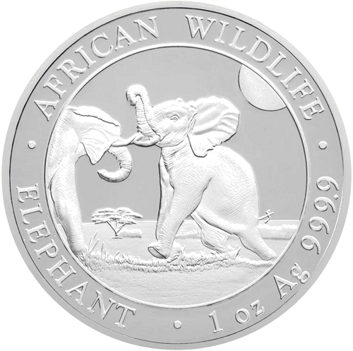 1 oz Слонове 2024 Сомалия 100 шилинга сребърна монета (1)