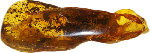 38,40 гр. Самороден кехлибар с фосил от бръмбар (1)