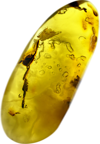 41,40 g Amber Nugget with water and bubbles (1)