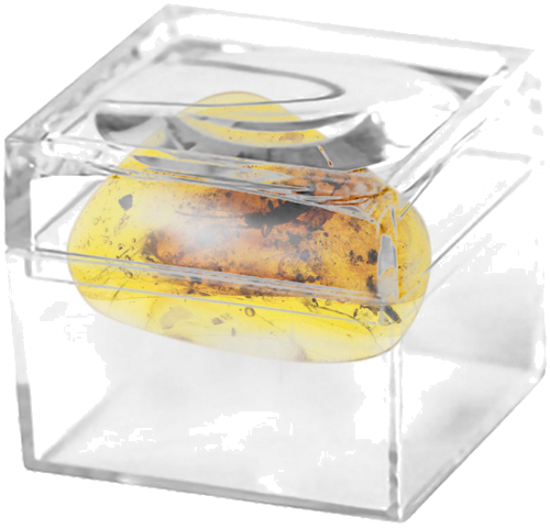 1,90 g Gintaro grynuolis su inkliuzu (2)