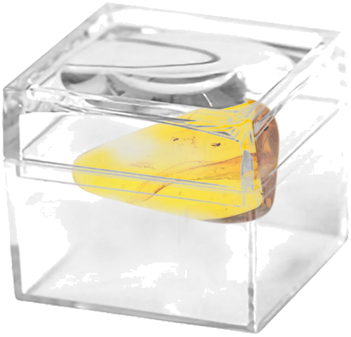 2,85 гр. Самороден кехлибар с фосил (2)