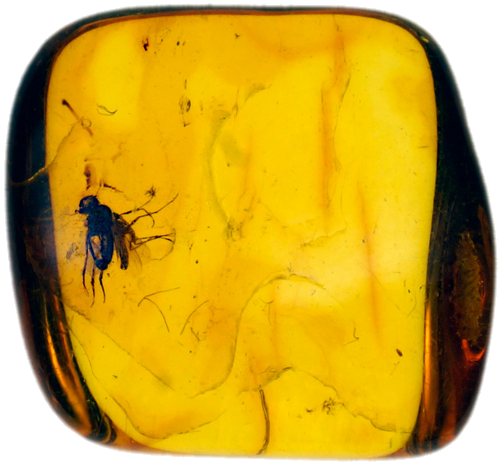 1,40 g Amber Nugget with inclusions (1)