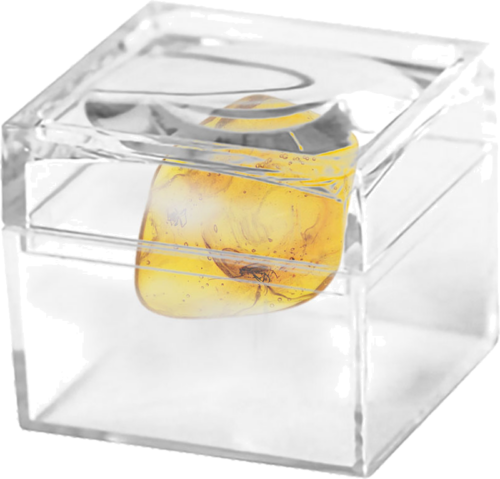 1,05 g Amber Nugget with inclusion (2)