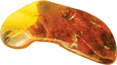 5,55 g Amber Nugget with inclusion (3)