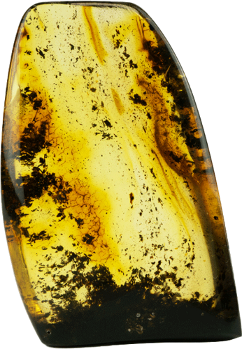 13,35 g Amber nugget (1)