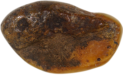 31,10 g Amber Nugget (2)