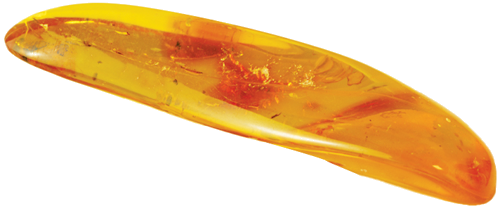 6,25 g Amber Nugget with inclusion (3)