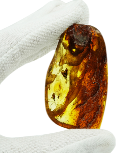 17,60 g Amber Nugget with fly inclusion (1)