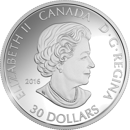 2016 Kanados Žąsis sidabrinė Proof moneta dėžutėje (2)