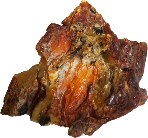 542 g Gintaro grynuolis (1)