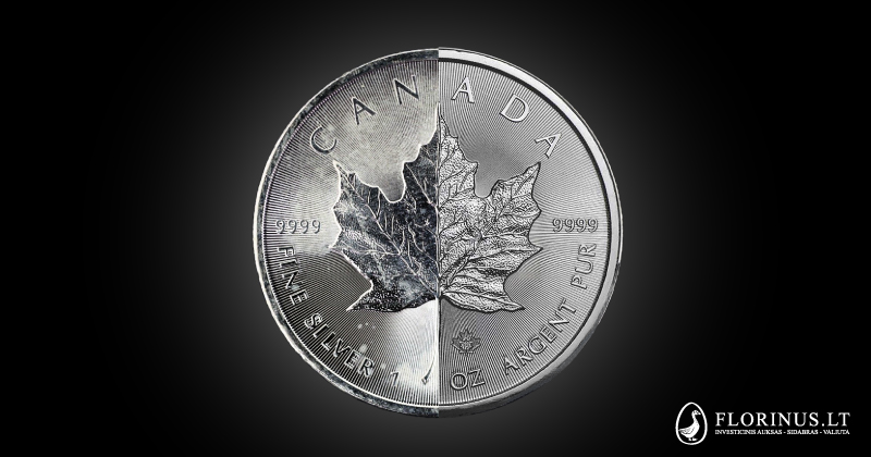 moneta su pieno dėmėm 