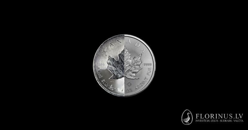 monēta ar piena plankumiem 