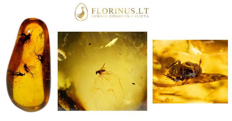 gintarai su inkliuzais