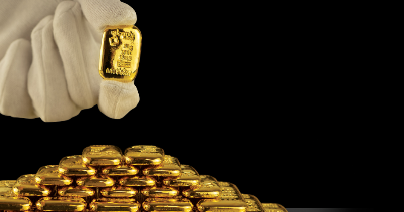 Valcambi luitas rankoje